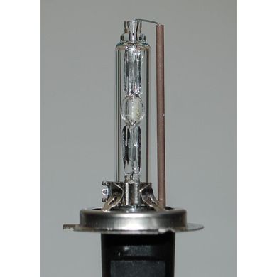 Ксеноновая лампа QLine Xenon Max H7 4300K