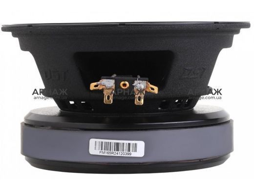 Акустика Dynamic State FORCE FM165R